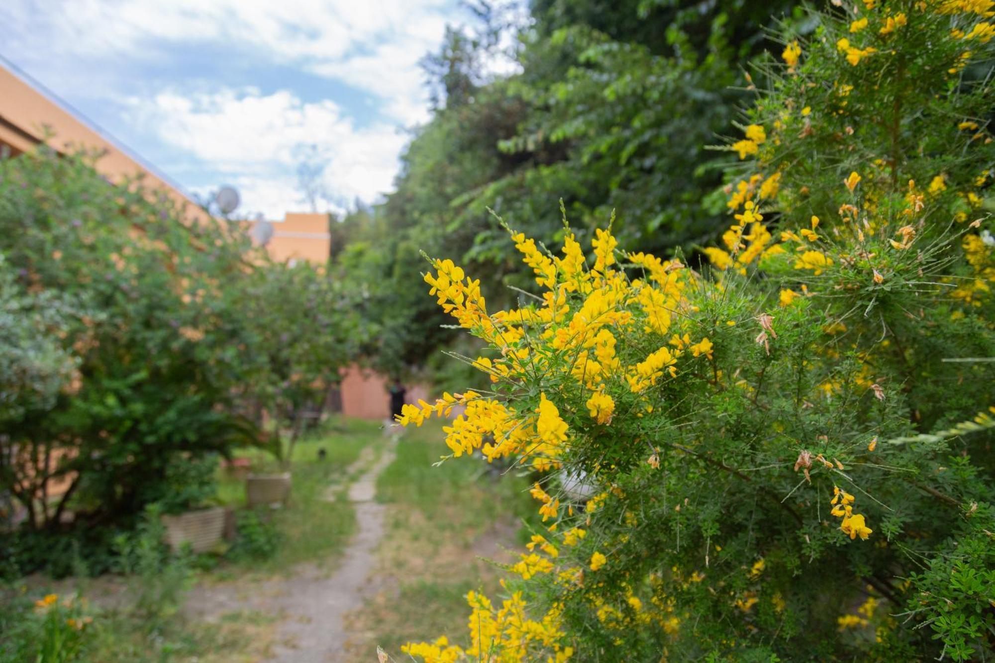 Appartamento La Casa Di Nonna Peppina A Trastevere